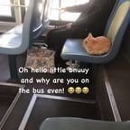 صوت أنثوي حيوي