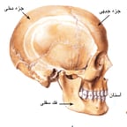 احمد علي الكلاون