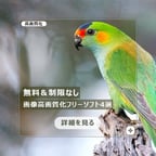 穏やかな日本語