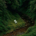 Clear Authoritative Male