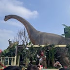 火灾事故警示教育片