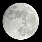 Melancholic Female Singer