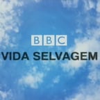 Vida selvagem