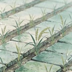 王树果V1.1