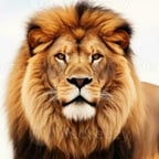 Voix de documentaire