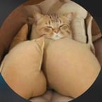 PTT-20250627-WA016.opus 