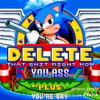 Sonic el erizo (sergindsonicsega)