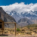 Narradora Portuguesa