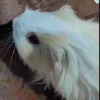 Молодой Рассказчик