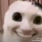 Clear Narrative Male