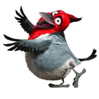 Pedro_Rio_Pelicula_Gavilán Galán_Español Latino