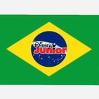 Disney Junior Brazil Male Announcer 