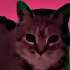 Kiree chudanir pola?