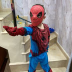 Voz do Homem de Ferro