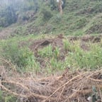 ابو تركي العامري