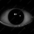 Спокойный Молодой Мужской