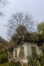 Mad Scientist By Ronit