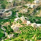 مذيع اخبار اقتصاديه 