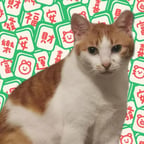 20250109_救火快讯Ai配音！！！