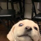 Calm Gaming Narrator