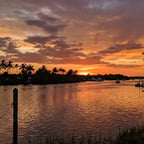 Voz Logística Profesional