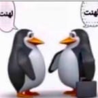 بابا