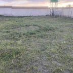 Clear Political Analyst