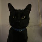 Voz Reflexiva Española