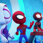 Spidey and his amazing friends 
