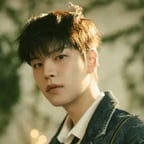 Seungmim stray kids voz1