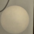 Voz Cantante Festiva