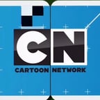 Cartoon Network Poland Next (2010-2014) (FM)