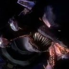 Halo reach elite announcer