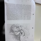 Klare deutsche Stimme