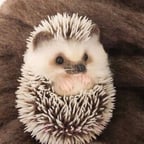 Весёлый Барби-бой