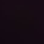 Every Last Dinosaur -- Energetic Storyteller