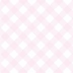 Lively Female Speaker