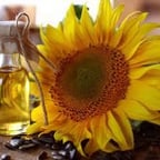 मिलनसार आवाज़