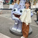 冰岛春茶Curbblan卡伴官方旗舰店