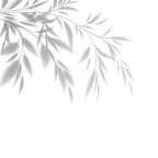 ऊर्जावान हिंदी वक्ता