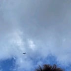 صوت عربي ودود