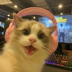 Clear Academic Voice