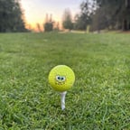 Energetic College Narrator