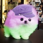 Дива Суглинка