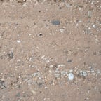 Voz Joven Española as