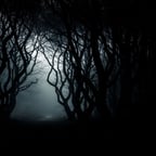 Voz Narrativa Misteriosa