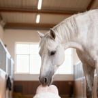 関西弁ヒデ温かい