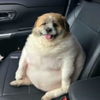 Isagi yoichi [megar] 