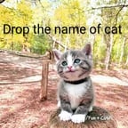 Warm Conversational Narrator