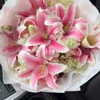 هادئ حنون مشاعر مؤثر 